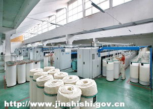 宏力紡織 產(chǎn)業(yè)集群驅(qū)動，鑄就百億紡織工程新篇章